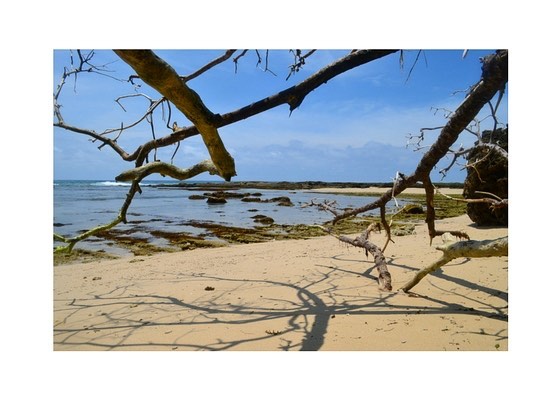 Pantai Karang Ranjang Pantai Karang Ranjang